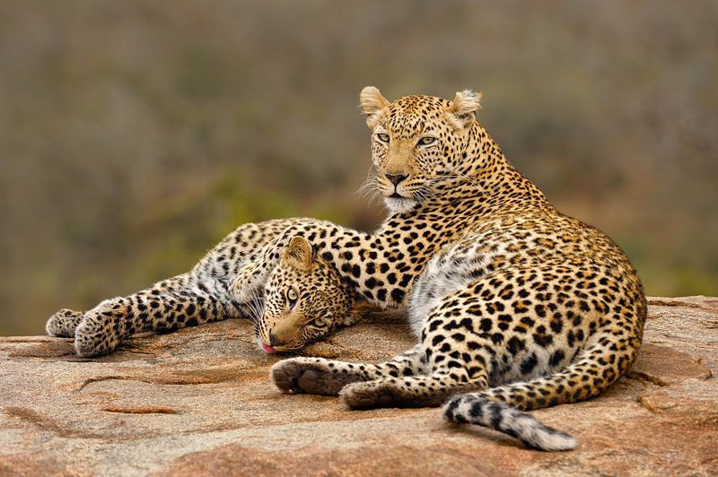 Tours-South Africa-2_SA_SABI_20090802_5592