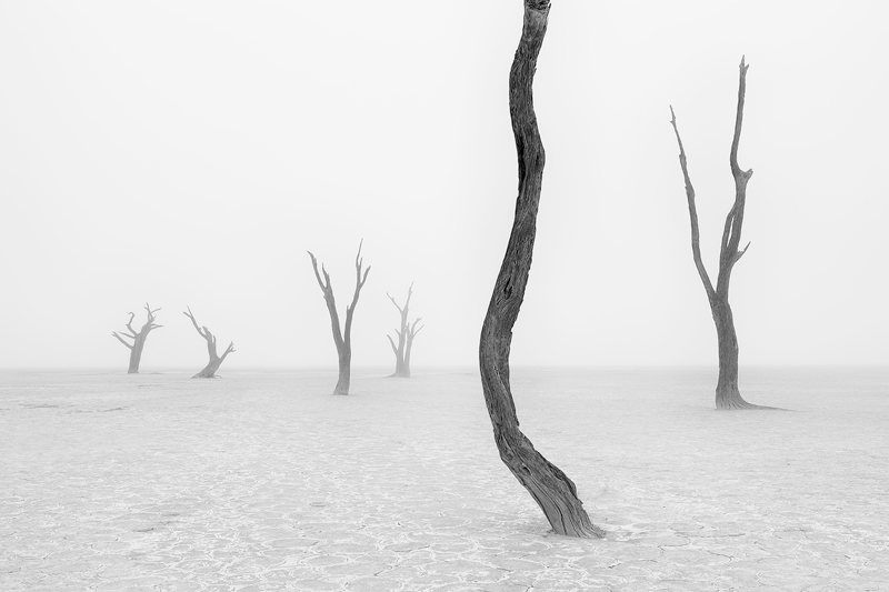 Beyond The Veil of Death 3