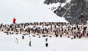 About Marsel van Oosten - Squiver